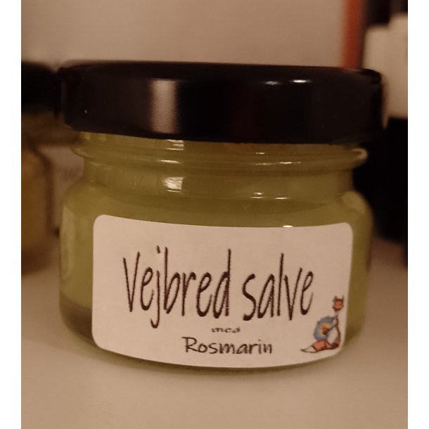 Vejbred salve med rosmarin 30 ml